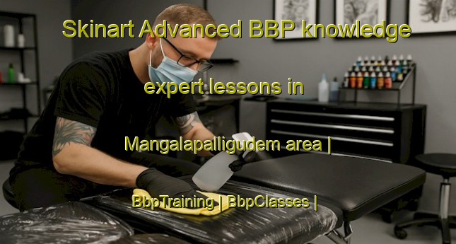 Skinart Advanced BBP knowledge expert lessons in Mangalapalligudem area | BbpTraining | BbpClasses | SkinartTraining-India